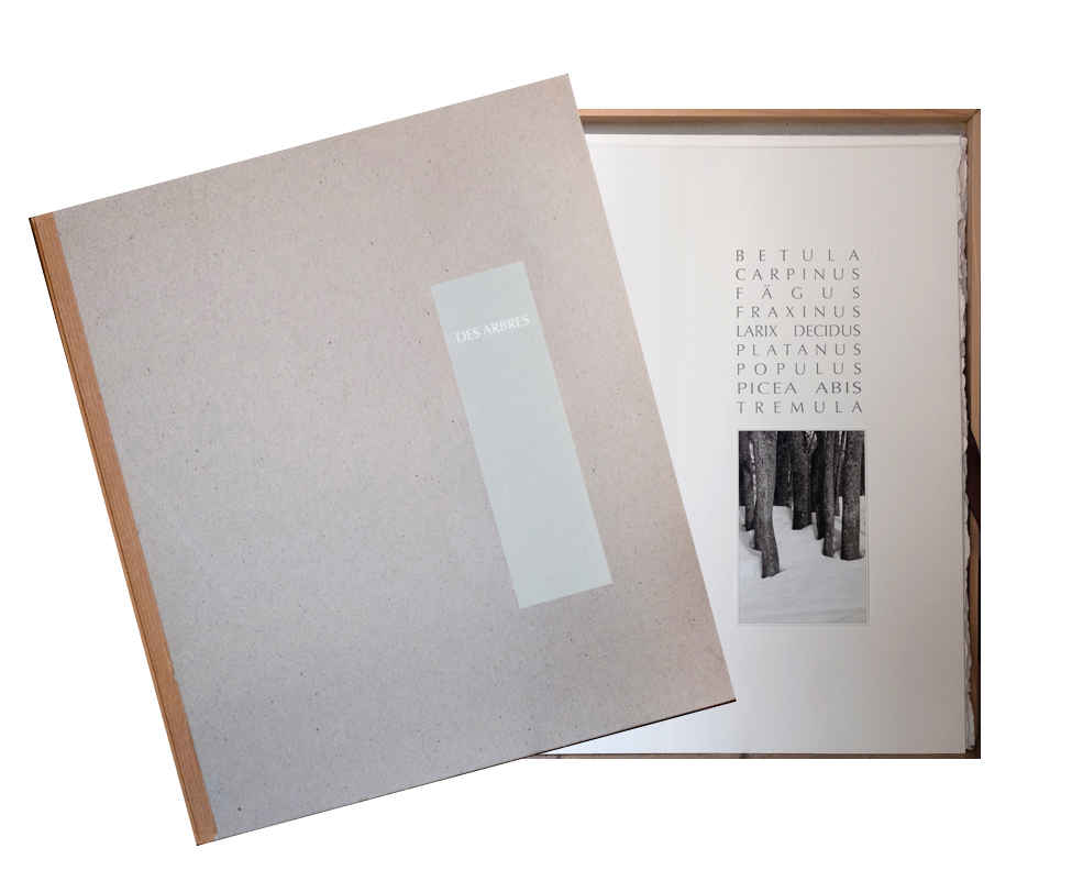 Protège-livre Brunnen – 54 X 31 Cm – Transparent – Polypropylène – Étiquette – Couverture Scolaire